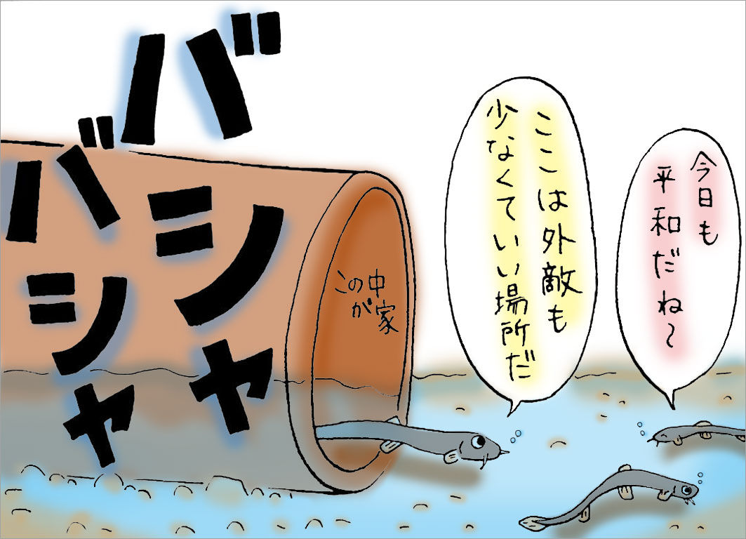 今日も平和だね〜ここは外敵も少なくていい場所だ 今日も平和だね〜ここは外敵も少なくていい場所だ