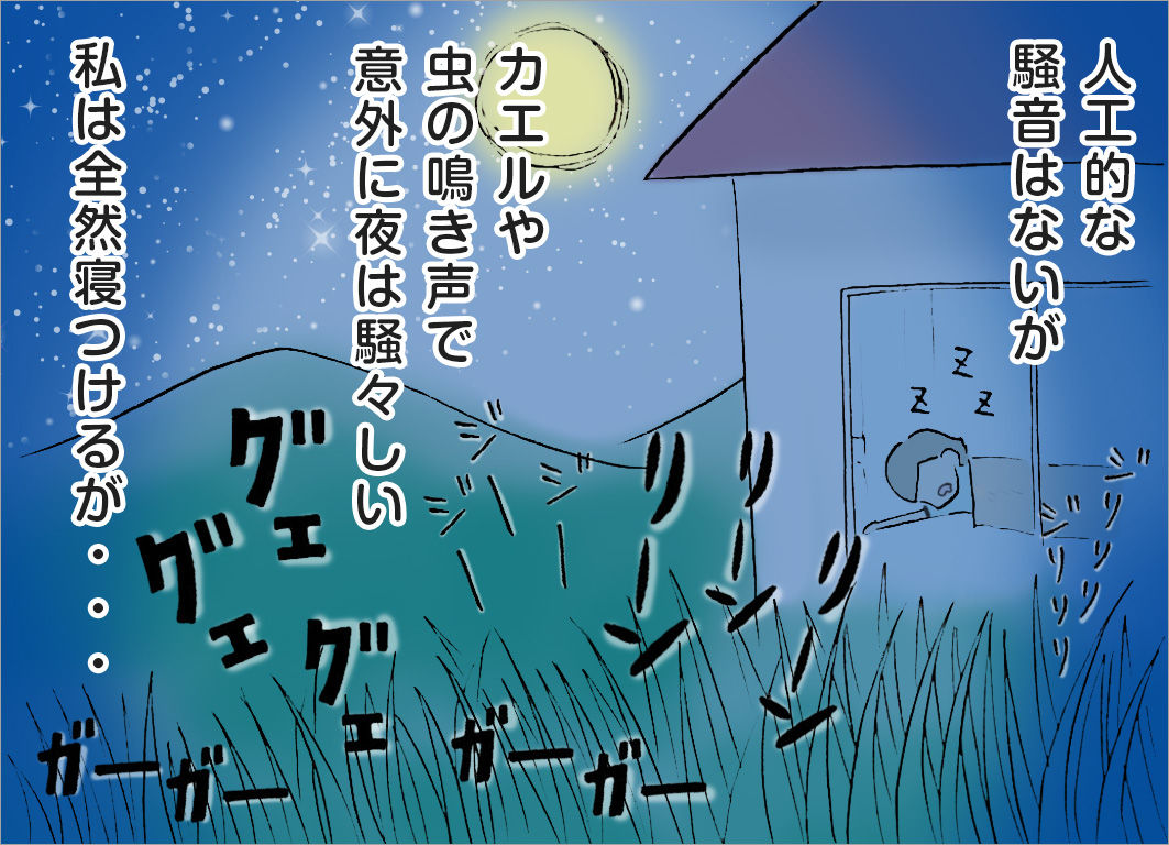 人工的な騒音はないが、カエルや虫の鳴き声で意外に夜は騒々しい。私は全然寝つけるが・・・ 人工的な騒音はないが、カエルや虫の鳴き声で意外に夜は騒々しい。私は全然寝つけるが・・・