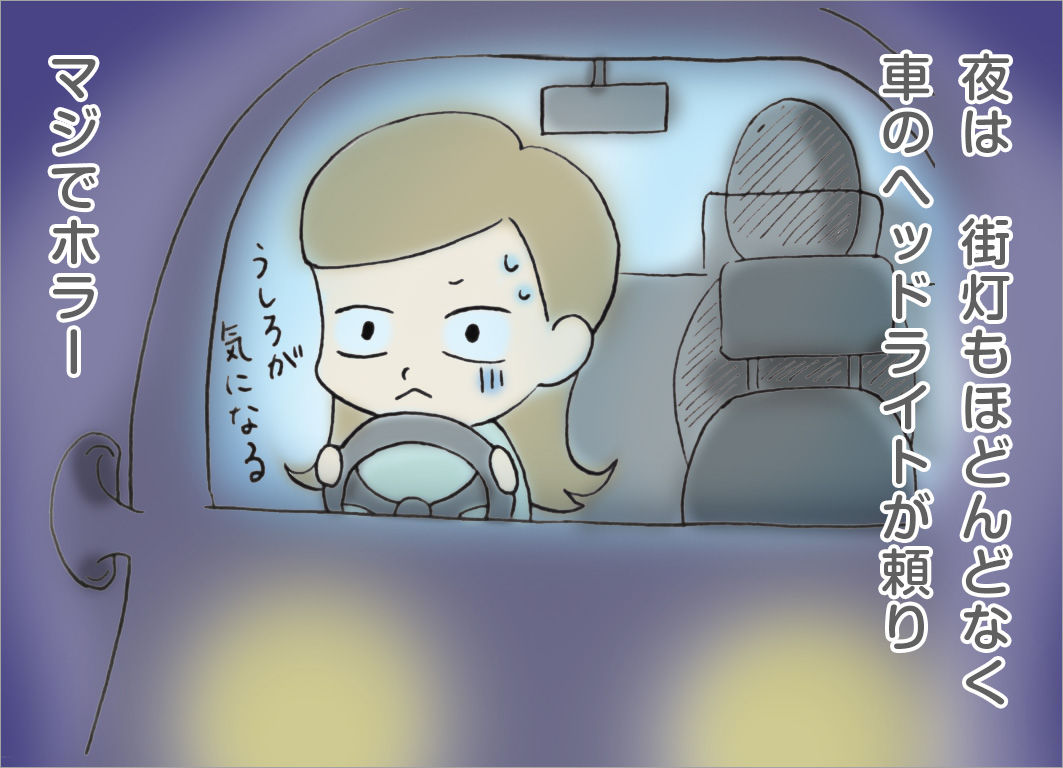 夜は街灯もほとんどなく、車のヘッドライトが頼り。マジでホラー 夜は街灯もほとんどなく、車のヘッドライトが頼り。マジでホラー