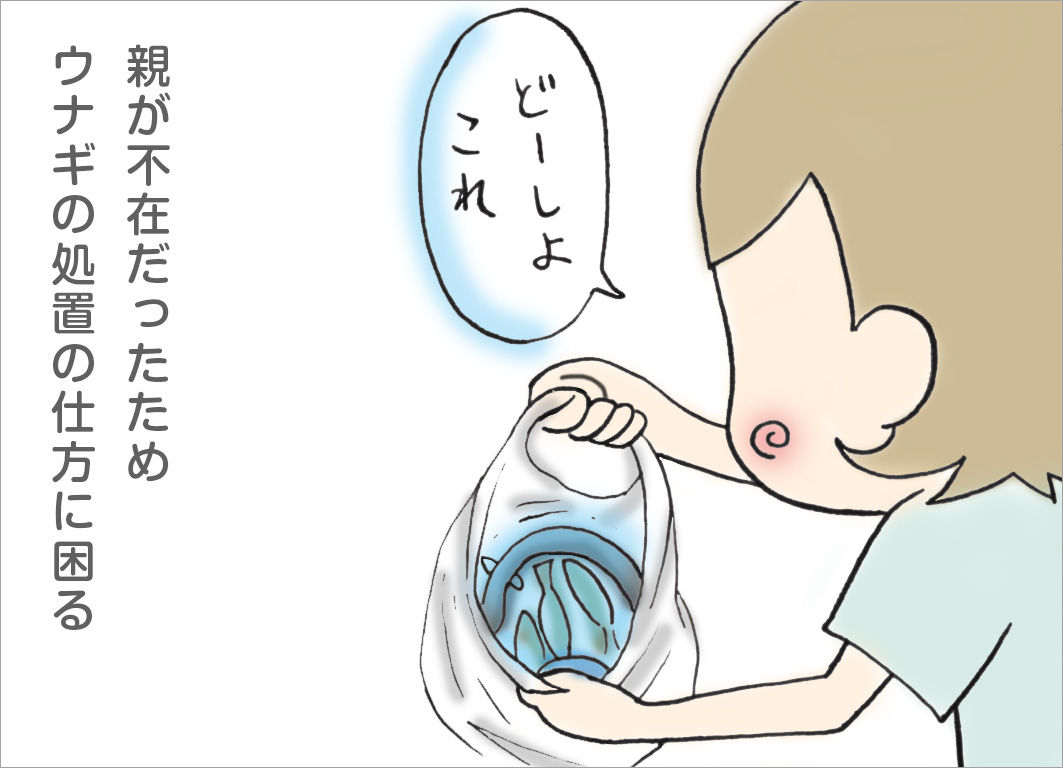 親が不在だったため、ウナギの処置の仕方に困る 親が不在だったため、ウナギの処置の仕方に困る