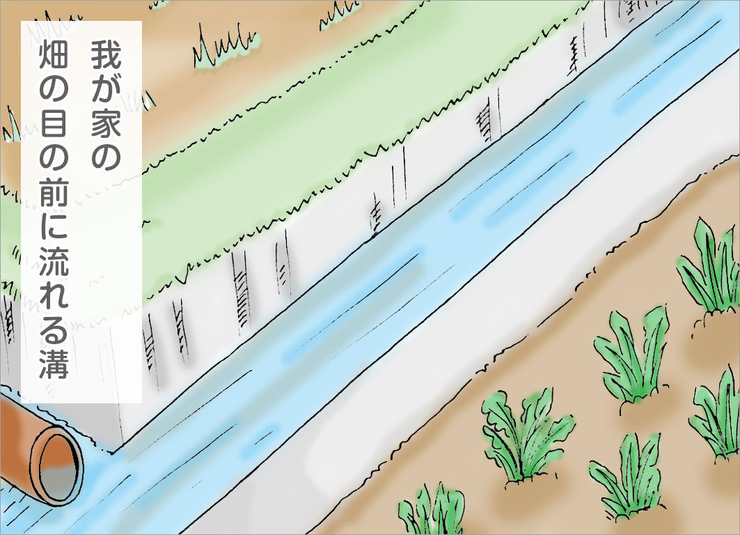 我が家の畑の目の前に流れる溝 我が家の畑の目の前に流れる溝