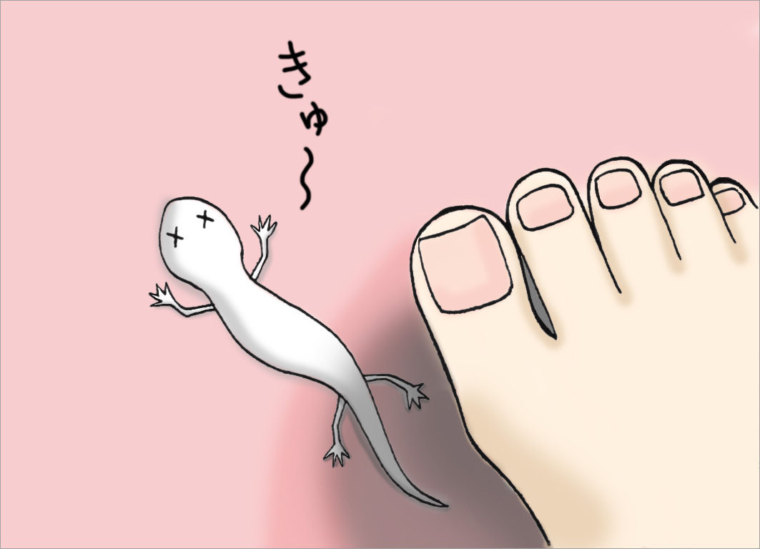 よくみるとしちぶを踏んでしまっていた よくみるとしちぶを踏んでしまっていた