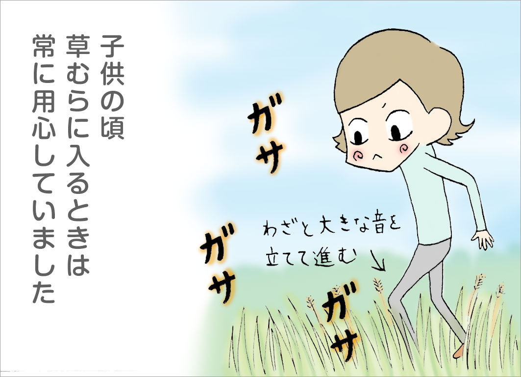 子供の頃、草むらに入るときは常に用心していました 子供の頃、草むらに入るときは常に用心していました