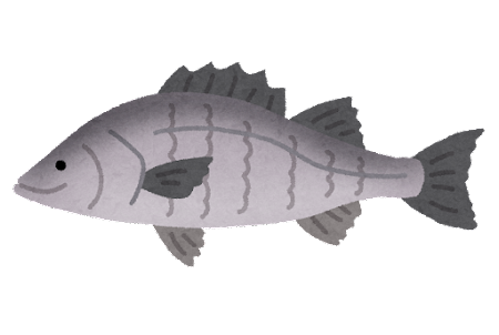 ベイトシーバスに自信ニキおる？