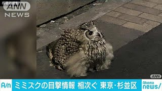 【悲報】TBSさん、ガチでやらかす