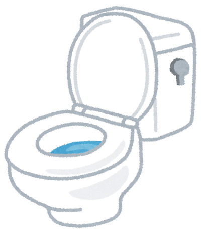 彼氏がウチのトイレを『こう』使ったので別れるわwww