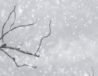 【画像】真冬の新潟、全然雪が降ってなくて草wwwwwww
