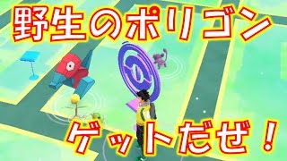 【ポケモンGO】明日も湧くかも知れないから、近くで待機予定。。。