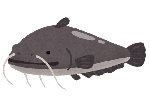 ウナギの代わりになれるポテンシャルを秘めた魚って他にも絶対おるやろ