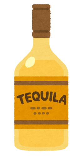 【朗報】人生初テキーラ買ったけど、どう飲むのが正解？