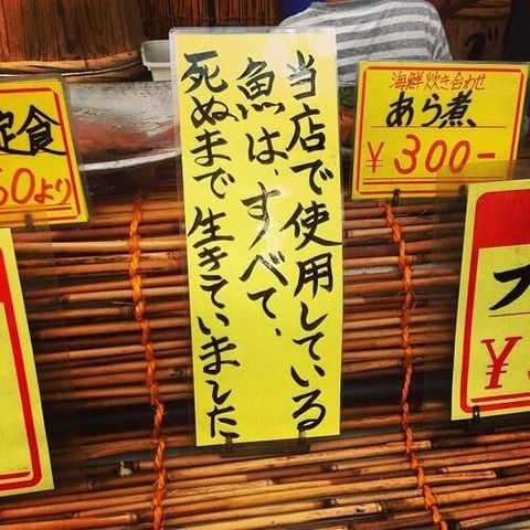 ついさっきまで生きてた新鮮なお魚です！←これ