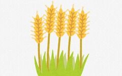 小麦とかいうこの世界の覇者