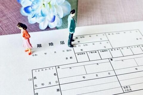 【悲報】ヒカルさん、スピード離婚の真相を『告白』してしまう・・・・