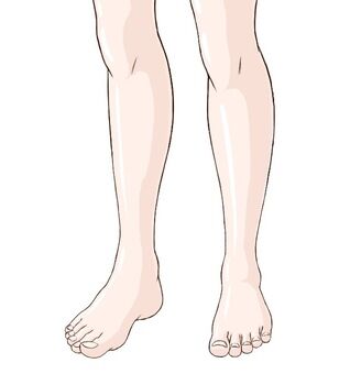 【画像】めざましテレビに高身長美少女(15)のナマ足