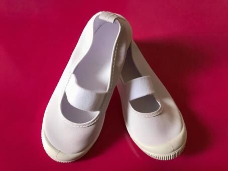 【悲報】女子中学生の上履きを盗んだ34歳の男、自宅で『とんでもない物』が発見されてしまう・・・・