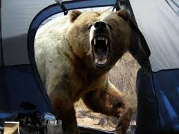 神奈川県山北町玄倉の林道クマに襲われ男性けが、東京都も多摩とか近い