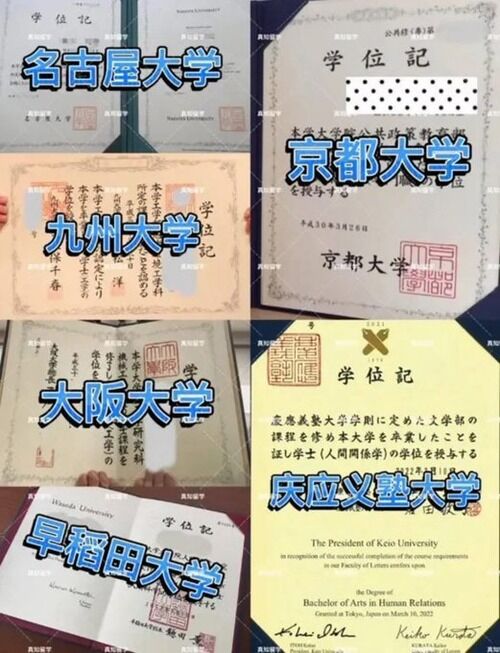 東京大学を筆頭に旧帝大・早稲田・慶応義塾等々の大学　受験する必要すらなく卒業証書と成績証明書が手に入る事が判明ｗｗｗｗｗｗｗｗｗｗｗｗｗｗ
