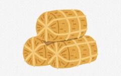 【米騒動】米国「日本は米に700％の関税を課している！！」