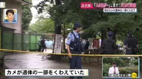 目黒の碑文谷公園内の池のカメがくわえていたものは「バラバラの人の遺体」　東京・目黒区の公園で発見。ネットの反応がヤバい