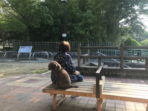 今日は通院日/背中合わせの母とサクラ