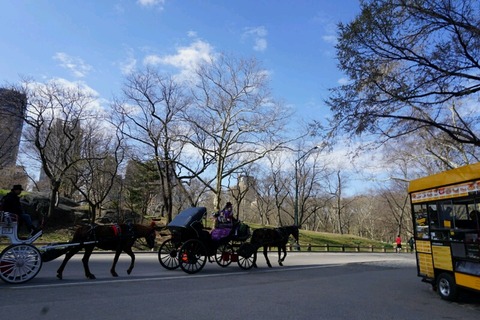 セントラルパーク