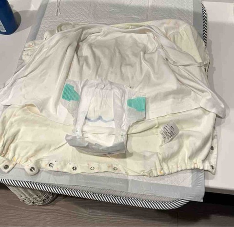 バーバーイーツと沐浴見学