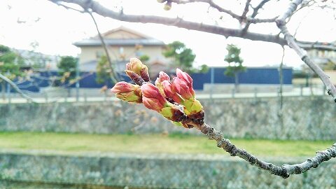 思い出し日記　3/19～20