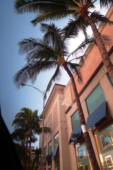 ４日目　ワイキキのホテル