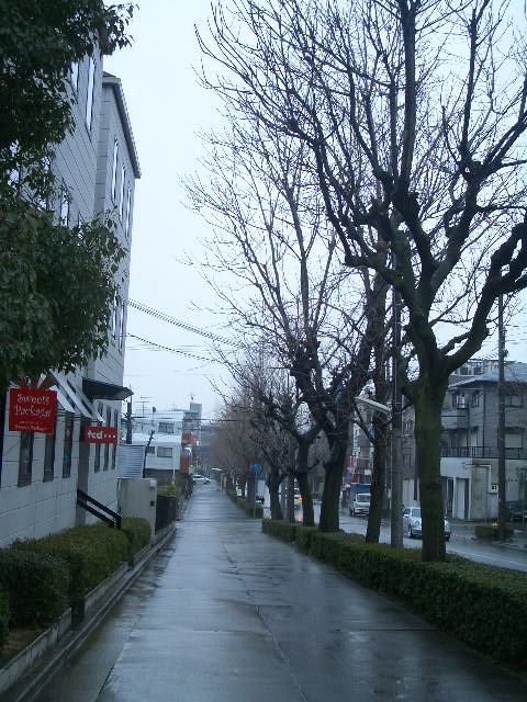 雨で薄曇りの空だけど。