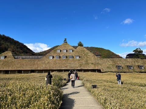 IMG_0390