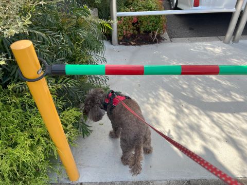 おひとり様ランチのとき、周りが見え過ぎて困った話