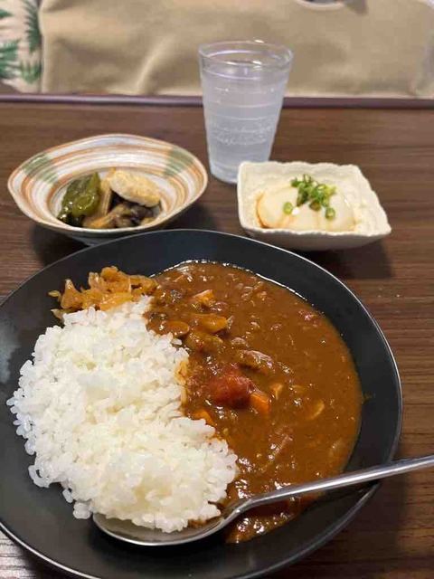 3日目が一番美味しかったカレー