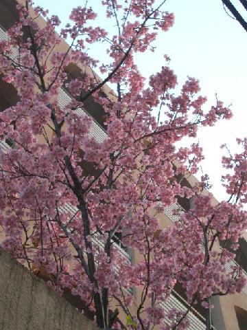 ちょこっと掃除