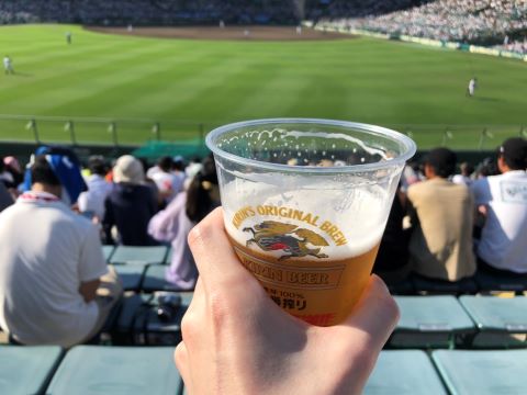 実家参りと息子の高校野球観戦