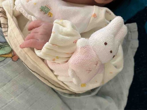 リストガラガラとファミリア愛