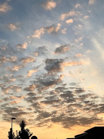 黄昏ウォーキング