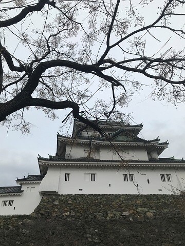 IMG_6707 - コピー