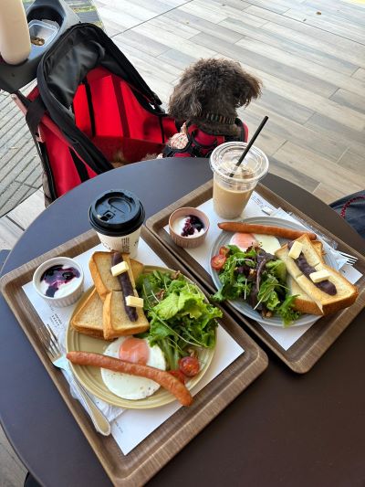 サクラも一緒にテラスでモーニング