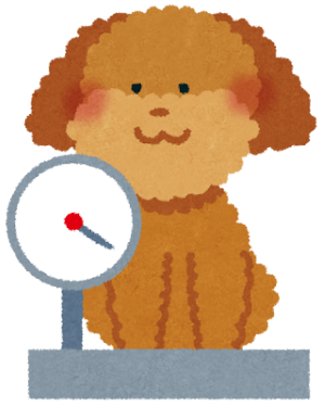 サクラ、目の充血で病院へ