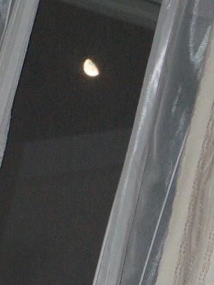 隙間から見えた月