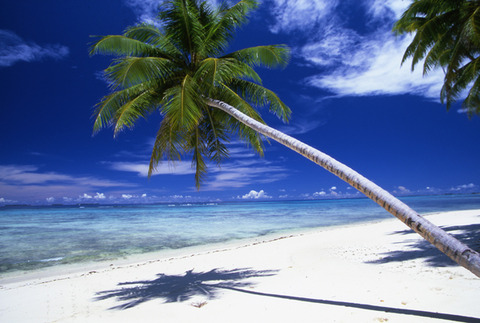 さざ波と小鳥のさえずり