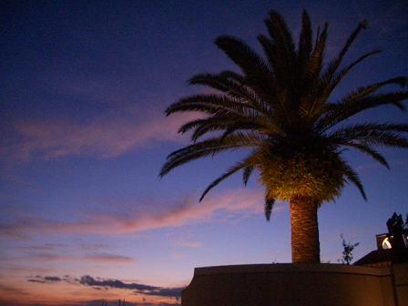 理想の世界へ散歩 ありふれた毎日