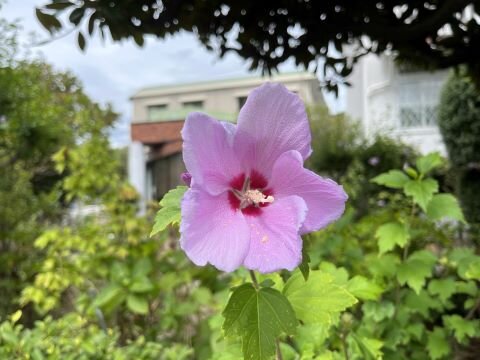 暑かった8月も終わりましたが、今日も汗かきました💦