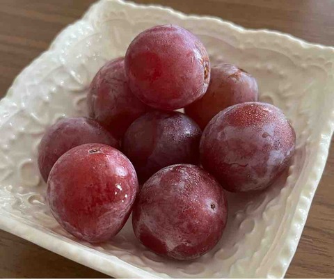 知らぬ間に夏休みは終わっていました