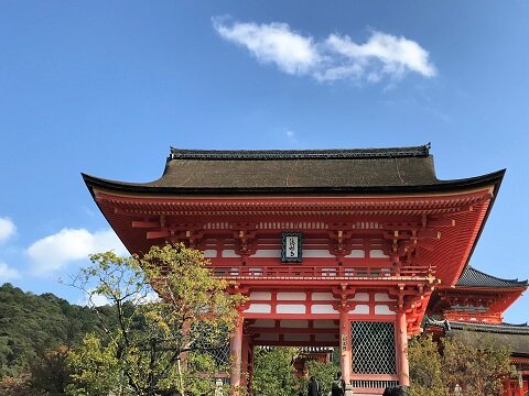 息子と京都
