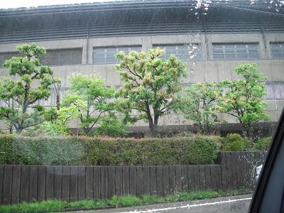 ナビ