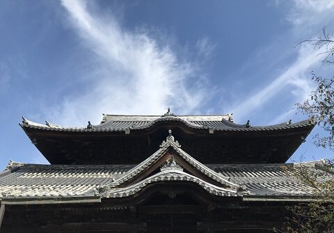 IMG_2943 - コピー