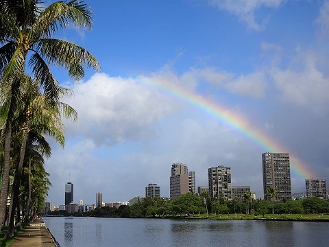 朝さんぽ@アラワイ運河