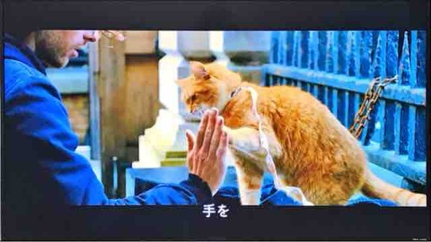 母とサクラのショートステイ