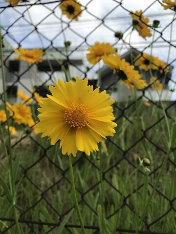 母との同居計画